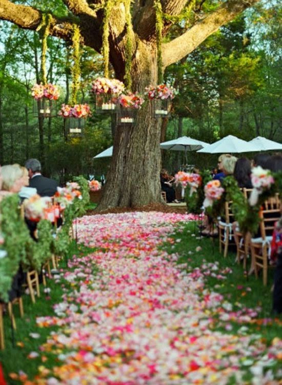 wedding season and confetti pathway